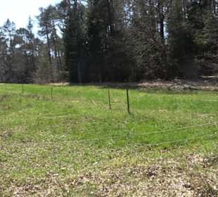 Waldkulturerbe Neuweiler Viehweide