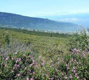 Inselrundfahrt AIDA Tagestour