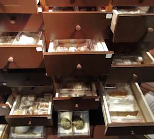 Blick in die Sammlung des Naturkundemuseums