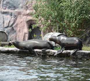 ZOOM Erlebniswelt Gelsenkirchen