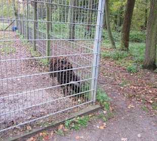 Tier- und Wildgehege