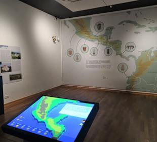 Schokogeschichte im Museum