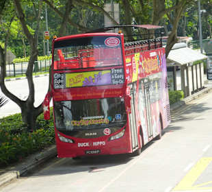 Der rote Hop and Hop Bus