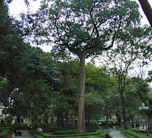 Hoan Kiem See in Hanoi
