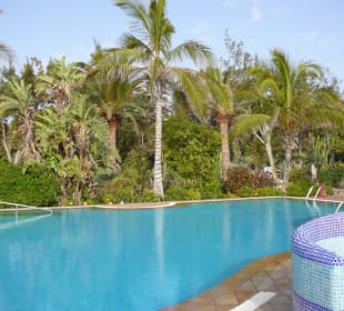 der Pool