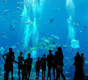 Aquarium im Hotel Atlantis auf der Palm Insel