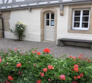 Stadtgeschichte aktiv erleben