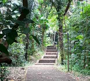 Marang Trail auf den Mount Faber