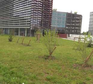 Europäisches Parlament