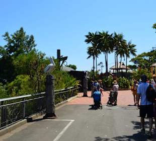 Taronga Zoo