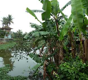 Kanal in der Zitadelle