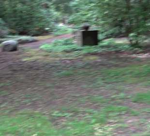 Waldfriedhof Degerloch