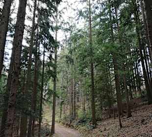 Wandern Bad Schönau