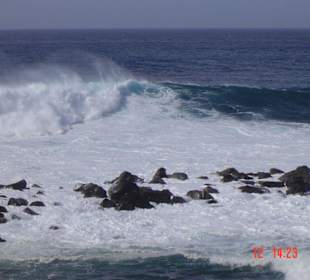 Wellengang