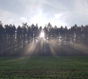 Die Sonne kommt durch
