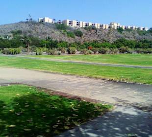Parque del Sur in Maspalomas