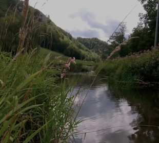 Wander- und Radweg Donau