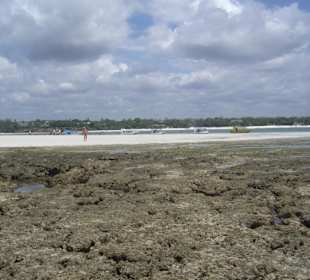 Ausflug Glasbodenboot Diani Beach