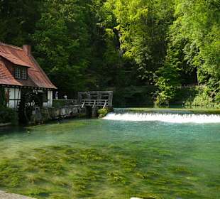 Die Hammerschmiede mit dem Blautopf