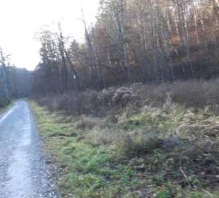 Schönbuch Schaichtal