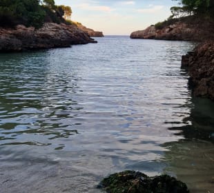 Strand Cala d'Or