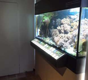 Jura-Museum