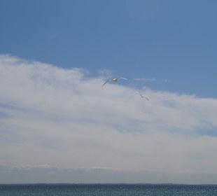 Strand Grömitz