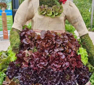 Sehr schön gemacht worden