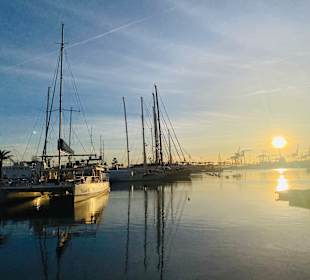 Hafen Valencia 