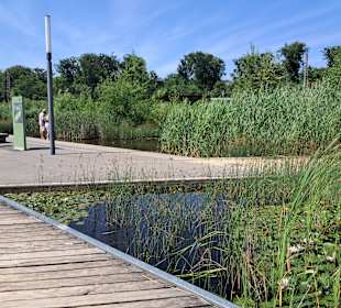 Naturschutzgebiet Grube Reden in Schiffweiler