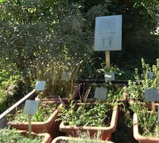 Klosterkirche Maria Gnadenzell