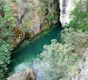 Blick auf den Quelltopf