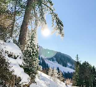 Wandern Nova Ponente / Deutschnofen