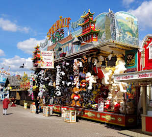 Impressionen von der Osterwiese