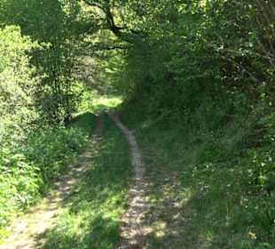 Premiumwanderweg Hochgehschätzt
