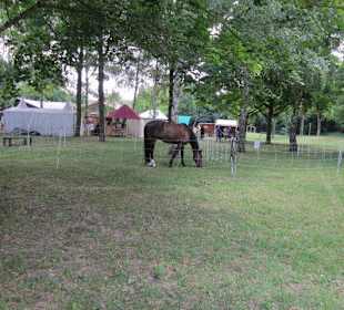 Mittelalterlichen Tage in der Festung
