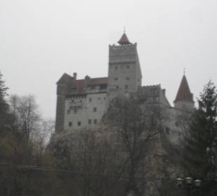 Castelul Bran 