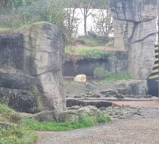 Zoo Hannover 