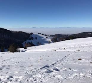 Wandern Todtnauberg