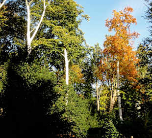 Herbstspaziergang durch den Schlosspark
