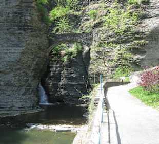 Watkins Glen