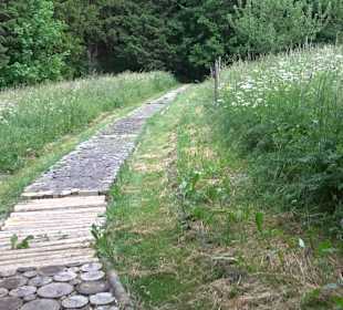 Barfußpfad Tieringen