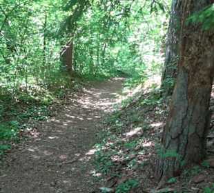 Wanderweg Sieben-Täler-Runde 