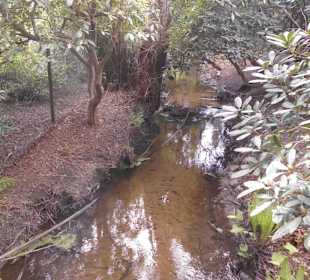 Weltvogelpark Walsrode