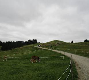 Wanderung auf den Hündle