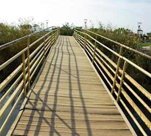 Inspirationen an d.Strandprom.entlang Nov.2010