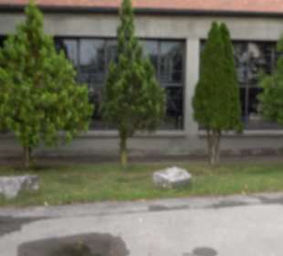 Pfarrkirche St. Cäcilia