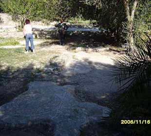 9 Häuser standen hier!