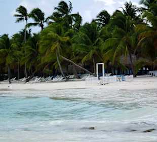Saona