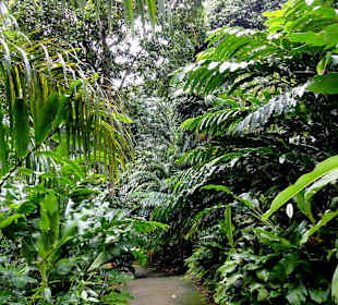 Impressionen aus den Jardins de Valombreuse